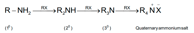 NCERT Solution / Notes Class 12 Chemistry Chapter 13 Amines – Class 12 Chemistry Chapter 13