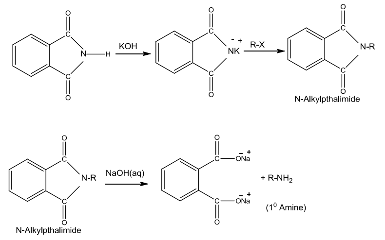 NCERT Solution / Notes Class 12 Chemistry Chapter 13 Amines – Class 12 Chemistry Chapter 13