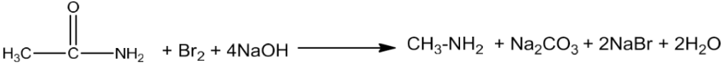 NCERT Solution / Notes Class 12 Chemistry Chapter 13 Amines – Class 12 Chemistry Chapter 13