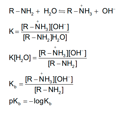 NCERT Solution / Notes Class 12 Chemistry Chapter 13 Amines