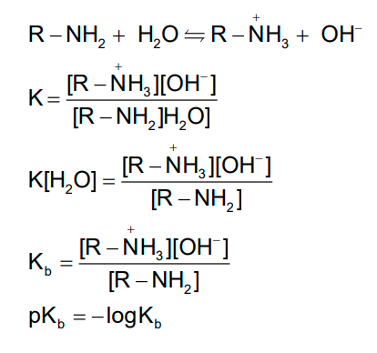 NCERT Solution / Notes Class 12 Chemistry Chapter 13 Amines – Class 12 Chemistry Chapter 13