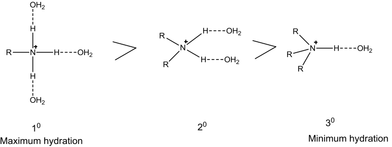 NCERT Solution / Notes Class 12 Chemistry Chapter 13 Amines – Class 12 Chemistry Chapter 13