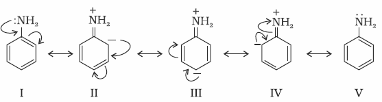 NCERT Solution / Notes Class 12 Chemistry Chapter 13 Amines – Class 12 Chemistry Chapter 13