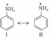 Class 12 Chemistry Chapter 13 – image 408