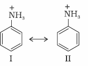 NCERT Solution / Notes Class 12 Chemistry Chapter 13 Amines – Class 12 Chemistry Chapter 13