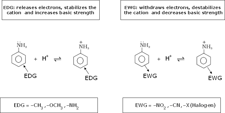 NCERT Solution / Notes Class 12 Chemistry Chapter 13 Amines – Class 12 Chemistry Chapter 13