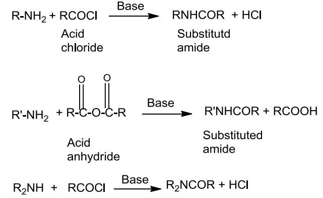 NCERT Solution / Notes Class 12 Chemistry Chapter 13 Amines – Class 12 Chemistry Chapter 13