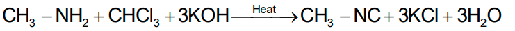 NCERT Solution / Notes Class 12 Chemistry Chapter 13 Amines – Class 12 Chemistry Chapter 13