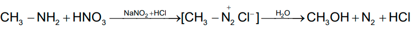 NCERT Solution / Notes Class 12 Chemistry Chapter 13 Amines – Class 12 Chemistry Chapter 13