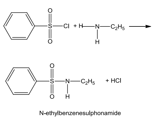 NCERT Solution / Notes Class 12 Chemistry Chapter 13 Amines – Class 12 Chemistry Chapter 13