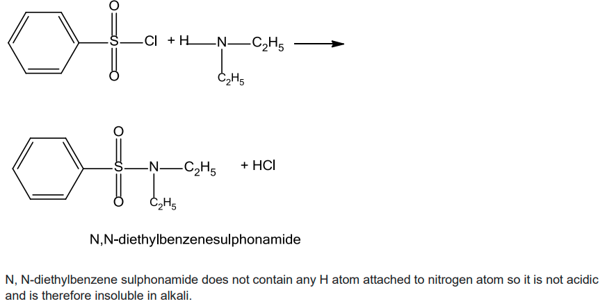 NCERT Solution / Notes Class 12 Chemistry Chapter 13 Amines – Class 12 Chemistry Chapter 13