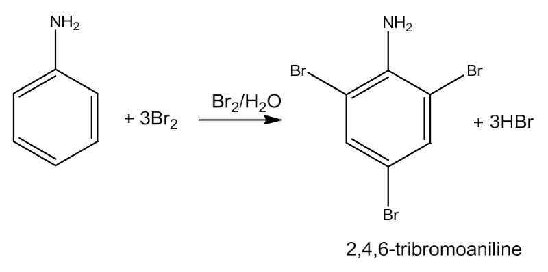 NCERT Solution / Notes Class 12 Chemistry Chapter 13 Amines – Class 12 Chemistry Chapter 13