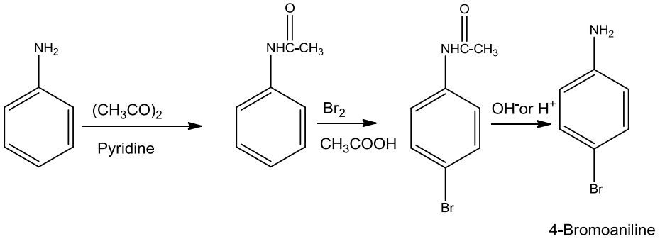 NCERT Solution / Notes Class 12 Chemistry Chapter 13 Amines – Class 12 Chemistry Chapter 13