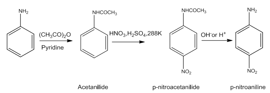 NCERT Solution / Notes Class 12 Chemistry Chapter 13 Amines – Class 12 Chemistry Chapter 13