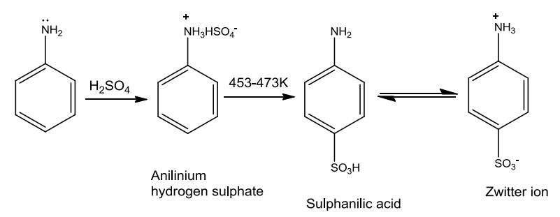 NCERT Solution / Notes Class 12 Chemistry Chapter 13 Amines – Class 12 Chemistry Chapter 13