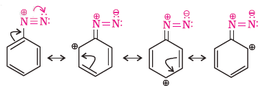 NCERT Solution / Notes Class 12 Chemistry Chapter 13 Amines – Class 12 Chemistry Chapter 13