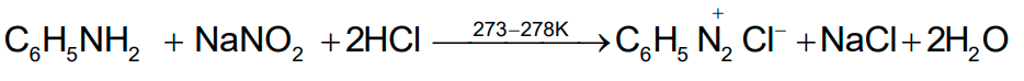 NCERT Solution / Notes Class 12 Chemistry Chapter 13 Amines – Class 12 Chemistry Chapter 13