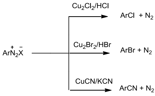 NCERT Solution / Notes Class 12 Chemistry Chapter 13 Amines – Class 12 Chemistry Chapter 13