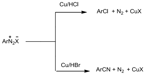 NCERT Solution / Notes Class 12 Chemistry Chapter 13 Amines – Class 12 Chemistry Chapter 13