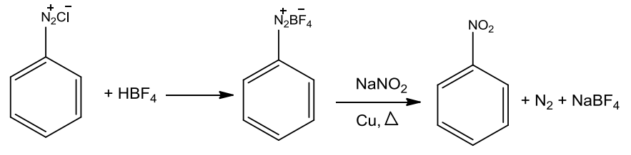 NCERT Solution / Notes Class 12 Chemistry Chapter 13 Amines – Class 12 Chemistry Chapter 13