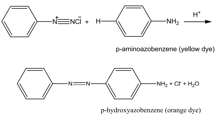 NCERT Solution / Notes Class 12 Chemistry Chapter 13 Amines – Class 12 Chemistry Chapter 13