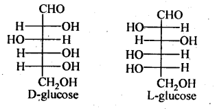 NCERT Solution / Notes Class 12 Chemistry Chapter 14 Biomolecules – Class 12 Chemistry Chapter 14