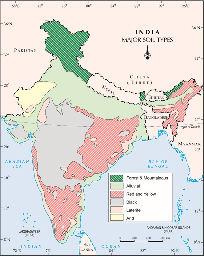 NCERT Solutions / Notes Class 10 Social Studies Geography Chapter 1 Resources and Development – Class 10 Social Studies Geography Chapter 1
