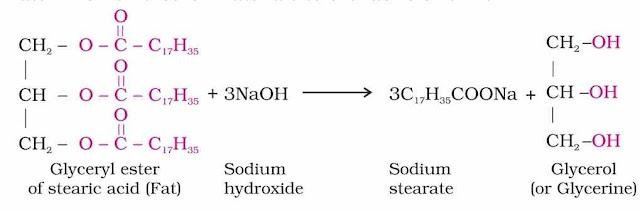 NCERT Solution / Notes Class 12 Chemistry Chapter 16 Chemistry in Everyday Life – Class 12 Chemistry Chapter 16