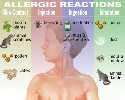 NCERT Solution Class 12 Biology Chapter 8 Human Health and Disease – Class 12 Biology Chapter 8