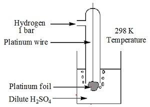 Class 12 Chemistry Chapter 8 – image 76