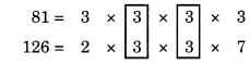 Class 6 Maths Chapter 3 Important Questions – Class 6 Maths Chapter 3 Important Questions